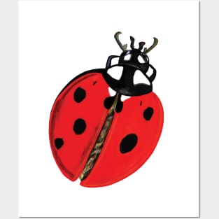 Lady Bug Illustration Posters and Art